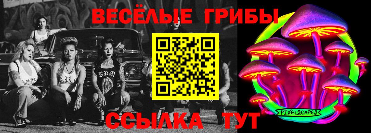 Тара  Псилоцибиновые грибы Psilocybine cubensis  Псилоцибиновые грибы ЛСД  Вход с VPN 